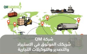 ⛴  شركة QM المساهمة تفتتح قطاع الاستيراد والتصدير والتوكيلات التجارية – تركيا 